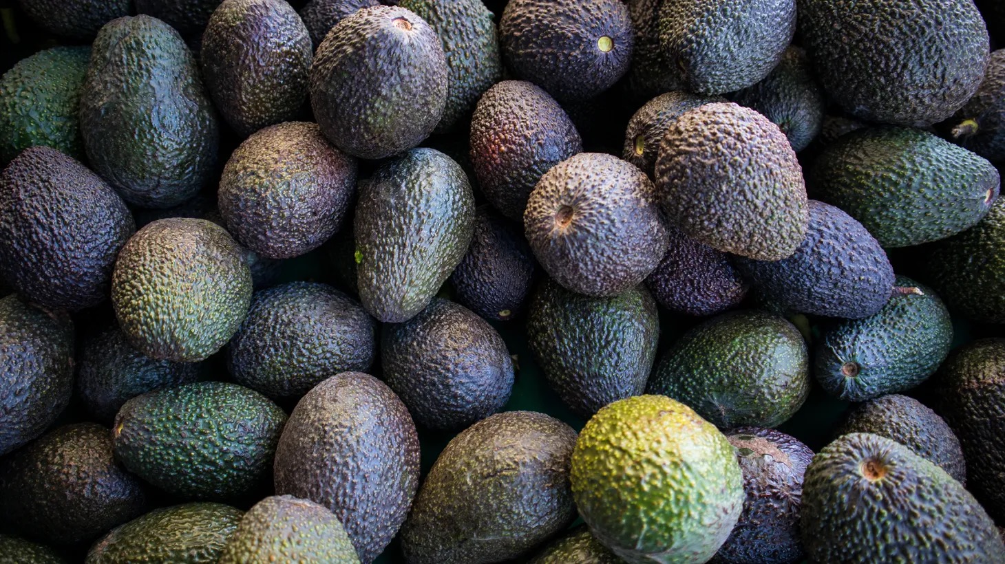 Fresh avocado
